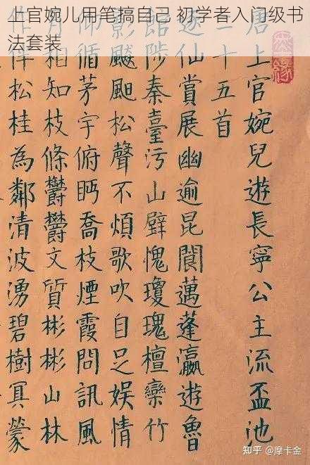 上官婉儿用笔搞自己 初学者入门级书法套装