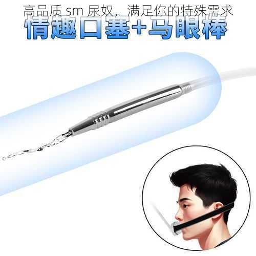 高品质 sm 尿奴,满足你的特殊需求