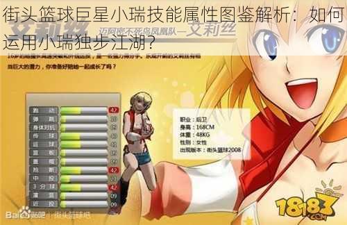 街头篮球巨星小瑞技能属性图鉴解析:如何运用小瑞独步江湖?