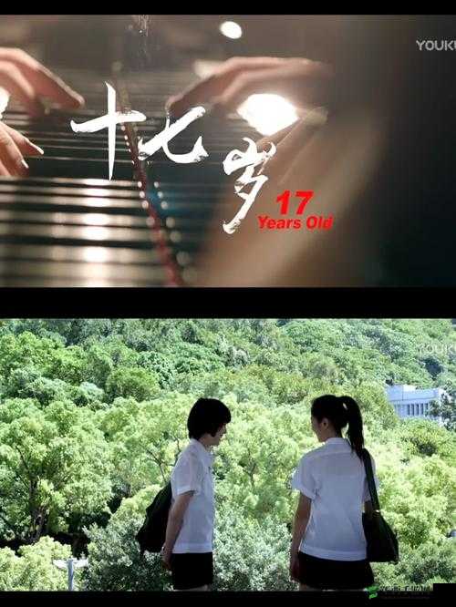 17 岁完整版高清免费播放:不容错过的青春影像盛宴
