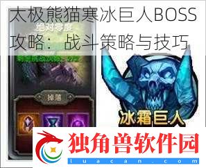 太极熊猫寒冰巨人BOSS攻略：战斗策略与技巧