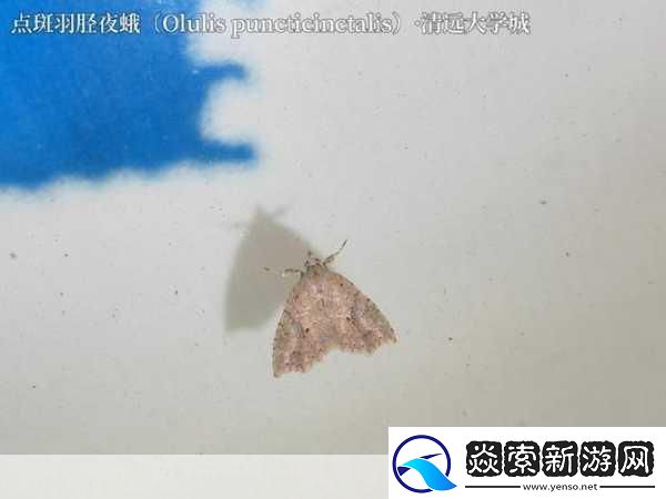 锕铜铜铜铜