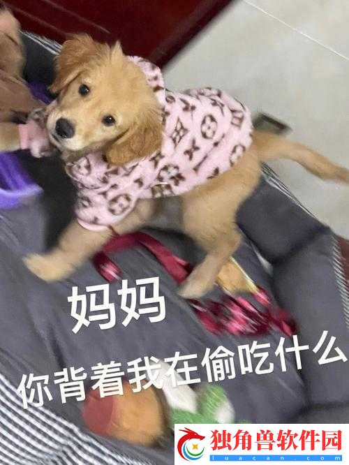 这么快就有反应了呀