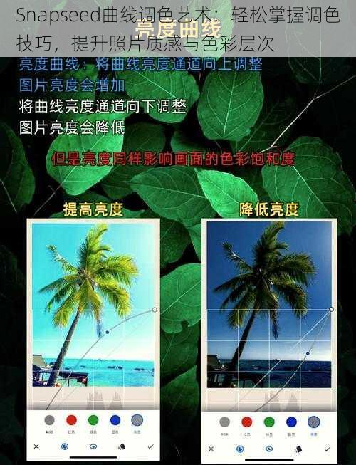 Snapseed曲线调色艺术：轻松掌握调色技巧，提升照片质感与色彩层次