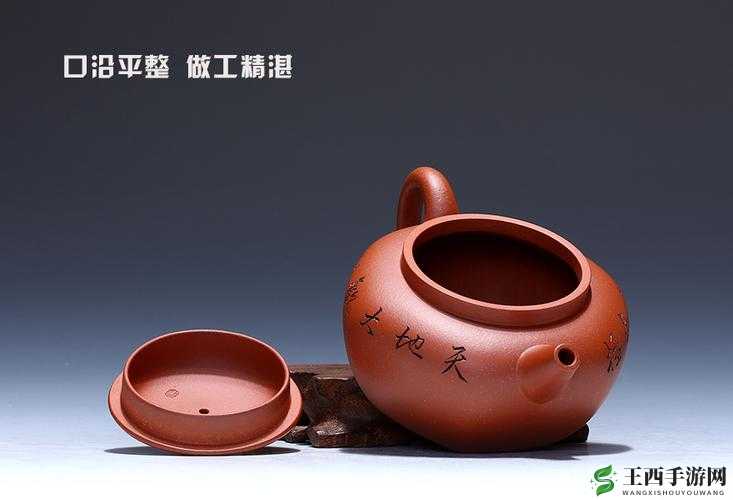 大地资源国精产品视频：展现独特魅力与精湛品质