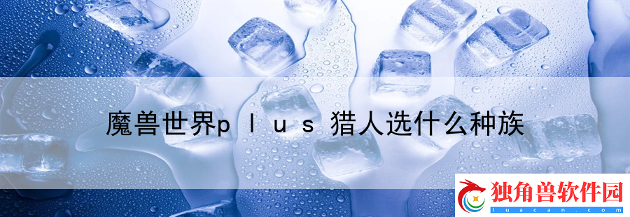 魔兽世界plus猎人选什么种族：角色成长路径分享