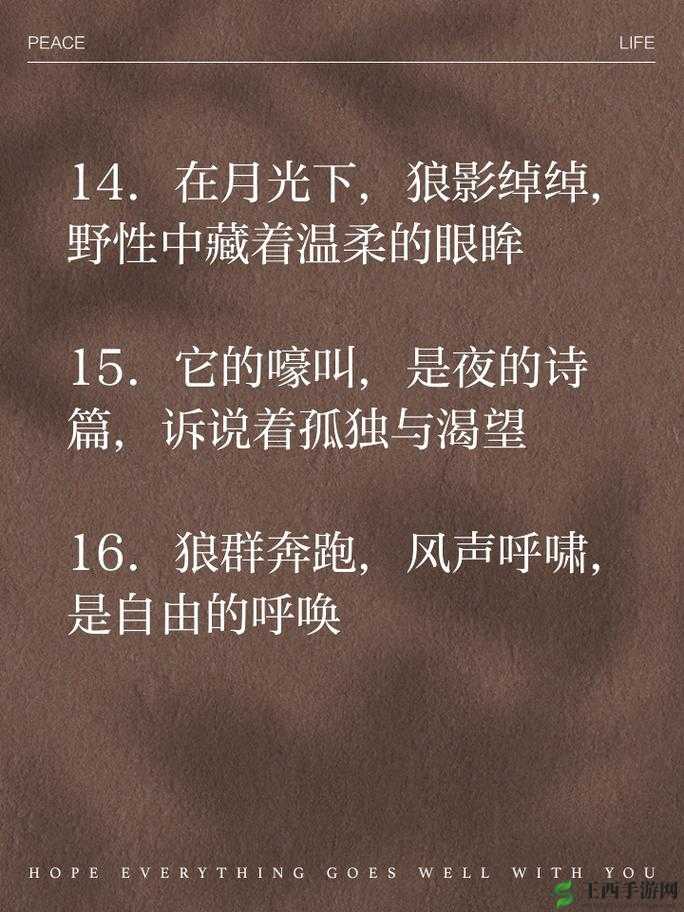 以公狼的粗大挺进我的身体为中心:从猎物到伴侣,狼与我之间的情感纠葛