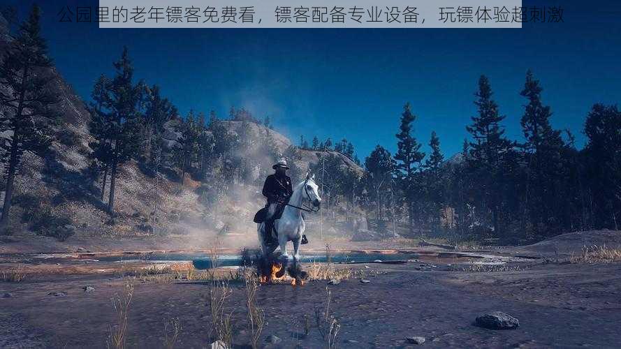 公园里的老年镖客免费看，镖客配备专业设备，玩镖体验超刺激