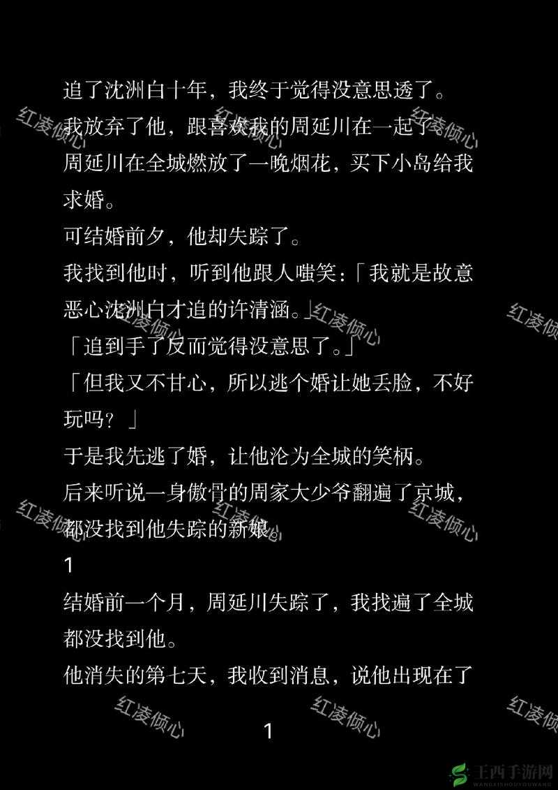 特级女片内谢 A 片 AAA 小说:独特情感与精彩情节的交织