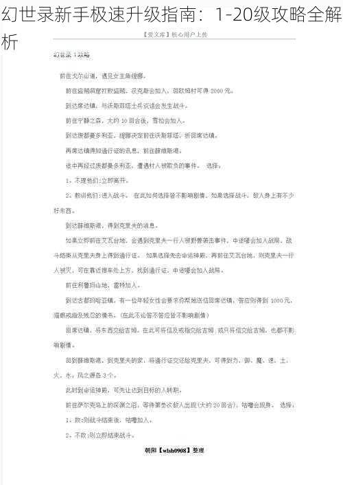 幻世录新手极速升级指南：1-20级攻略全解析