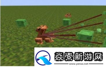 我的世界青蛙有什么用