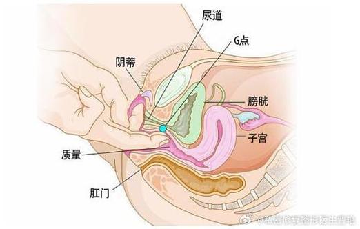 男生和女生一起查查查带疼痛大全:女性健康助手,呵护私密部位