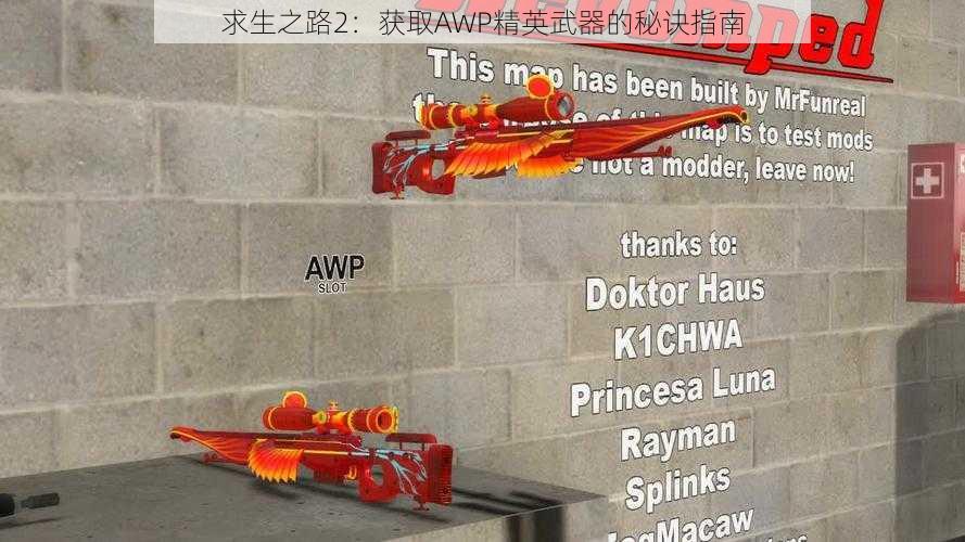 求生之路2:获取AWP精英武器的秘诀指南