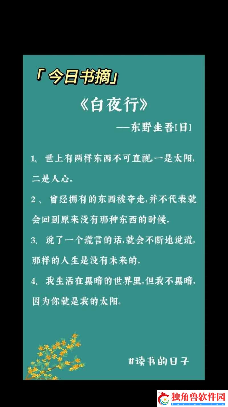 夜里适合男生看的精彩内容推荐