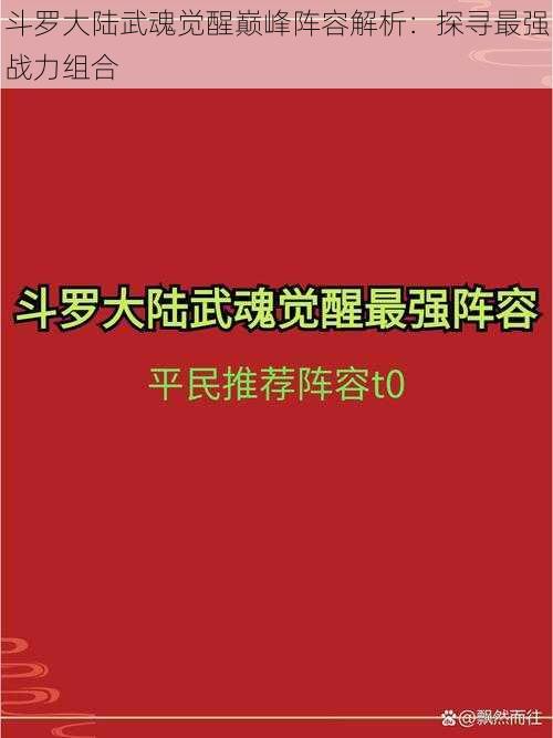 斗罗大陆武魂觉醒巅峰阵容解析：探寻最强战力组合