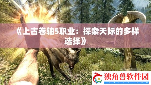 上古卷轴5职业