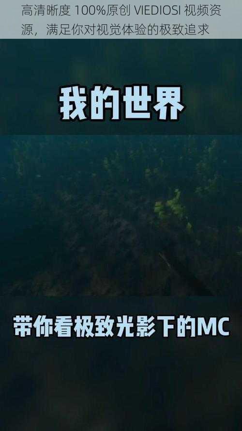高清晰度 100%原创 VIEDIOSI 视频资源,满足你对视觉体验的极致追求