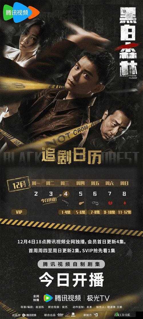 黑白森林 2024 电视剧在线观看:精彩剧情不容错过