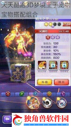 天天酷跑3D梦境王子宠物宝物搭配组合