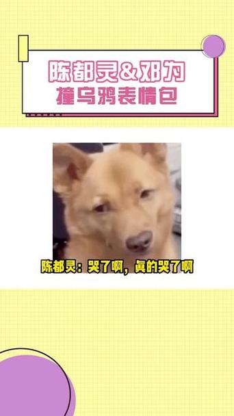 阿娇吃鸟图表情包原图，搞笑无厘头，让你聊天更有趣