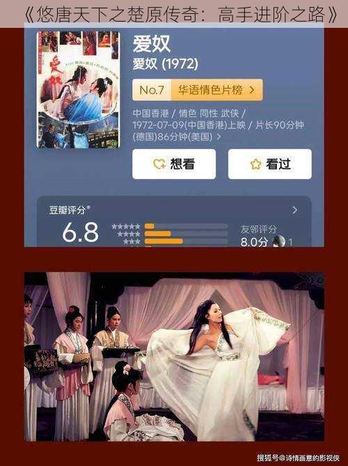 《悠唐天下之楚原传奇：高手进阶之路》