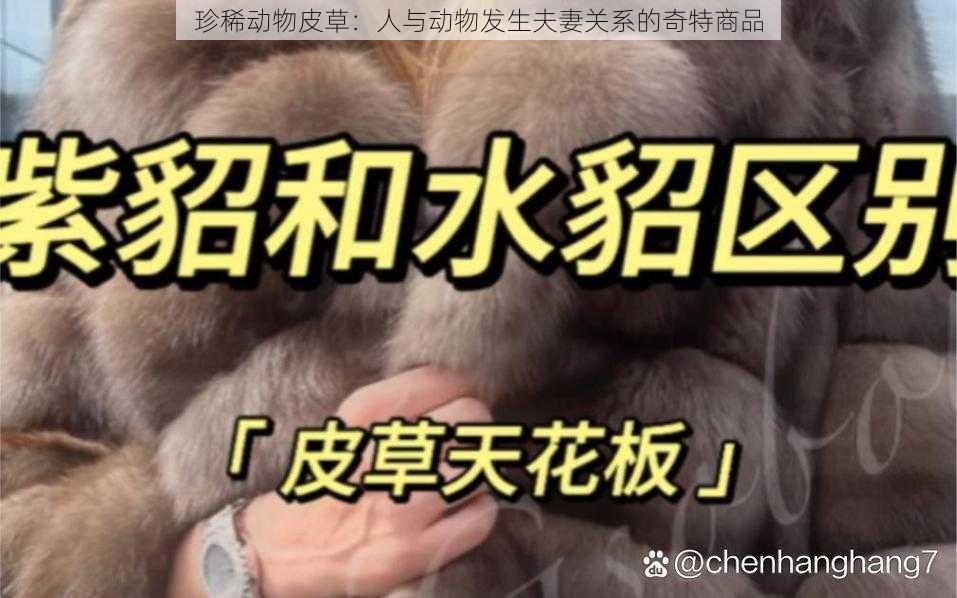珍稀动物皮草:人与动物发生夫妻关系的奇特商品