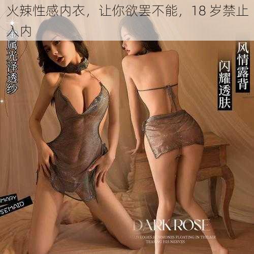 火辣性感内衣，让你欲罢不能，18 岁禁止入内