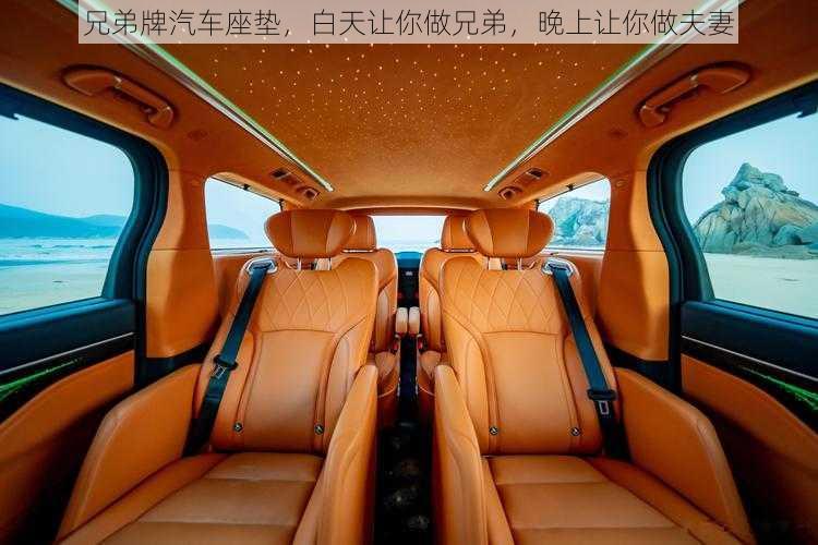 兄弟牌汽车座垫,白天让你做兄弟,晚上让你做夫妻