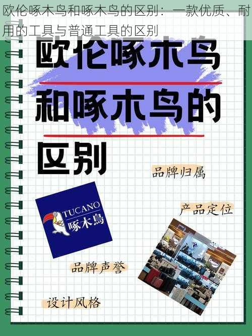 欧伦啄木鸟和啄木鸟的区别:一款优质、耐用的工具与普通工具的区别