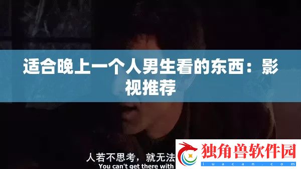 适合晚上一个人男生看的东西：影视推荐