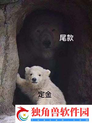 双11的伶仃末世觉醒之入侵细胞解析