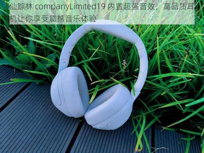 仙踪林 companyLimited19 内置超强音效，高品质耳机让你享受震撼音乐体验