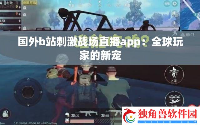 国外b站刺激战场直播app