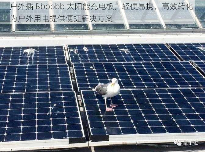 户外插 Bbbbbb 太阳能充电板，轻便易携，高效转化，为户外用电提供便捷解决方案