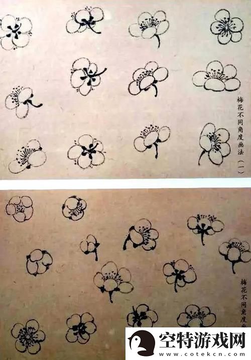 梅花开几度老张周梅细数岁月的情愫与期待