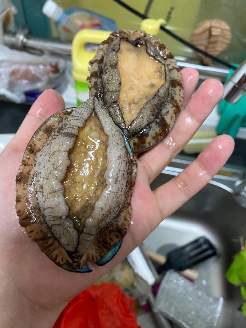 吃鲍鱼能不能喝牛奶？取决于你选择的产品