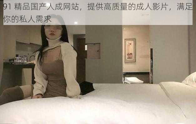 91 精品国产人成网站,提供高质量的成人影片,满足你的私人需求
