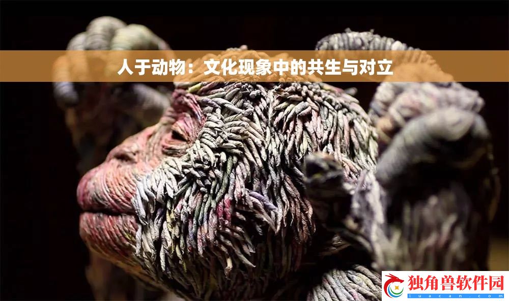 人于动物