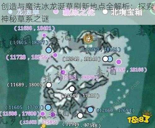 创造与魔法冰龙涎草刷新地点全解析:探索神秘草系之谜