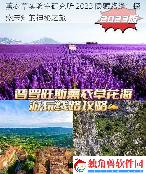薰衣草实验室研究所