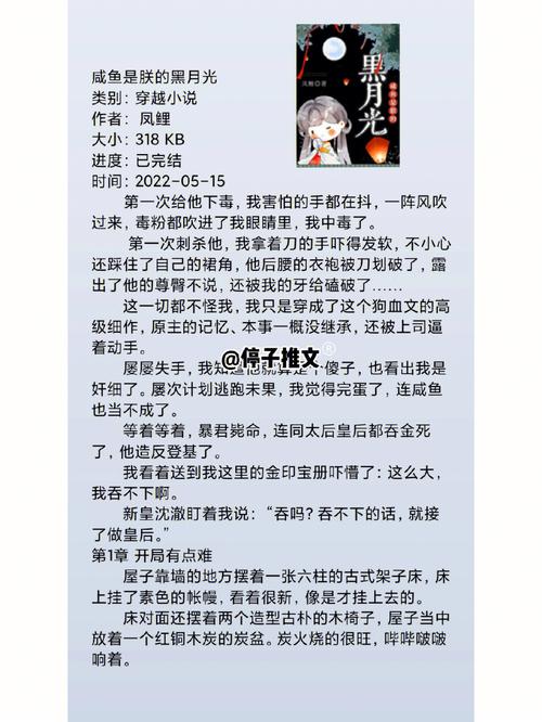 每晚都穿进男神们的梦里小说免费:穿越大乱斗,梦入男神怀