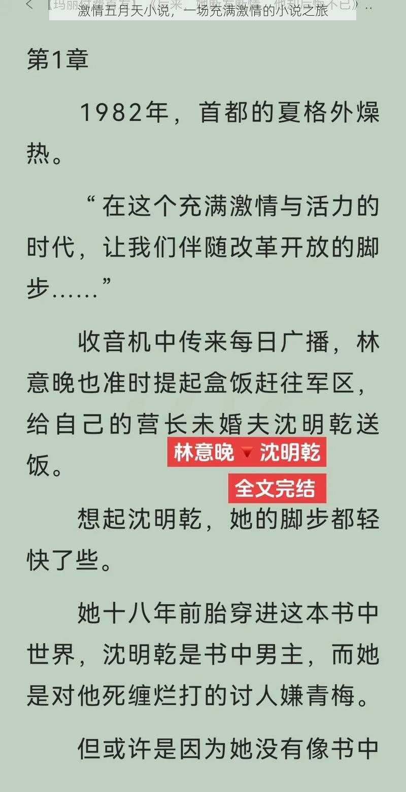 激情***小说,一场充满激情的小说之旅