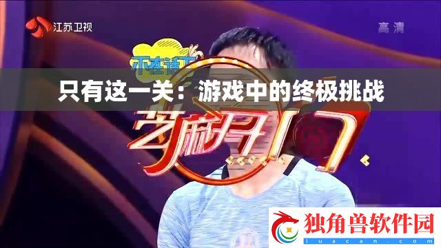 只有这一关：游戏中的终极挑战