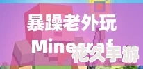 暴躁老外玩Minecraft中国-竟然被这创意搞得哭笑不得！