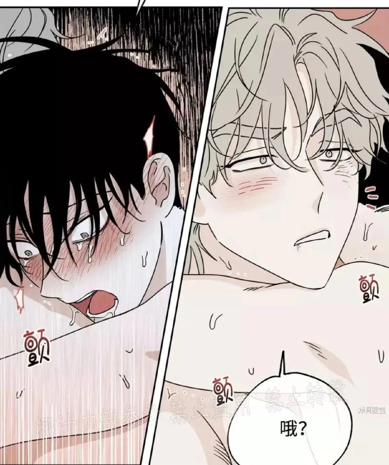 羞羞漫画sss入口引发热议，网友：有趣与不安并存