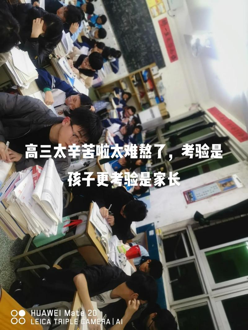 陪读今晚不带套,让孩子享受无束缚的学习体验