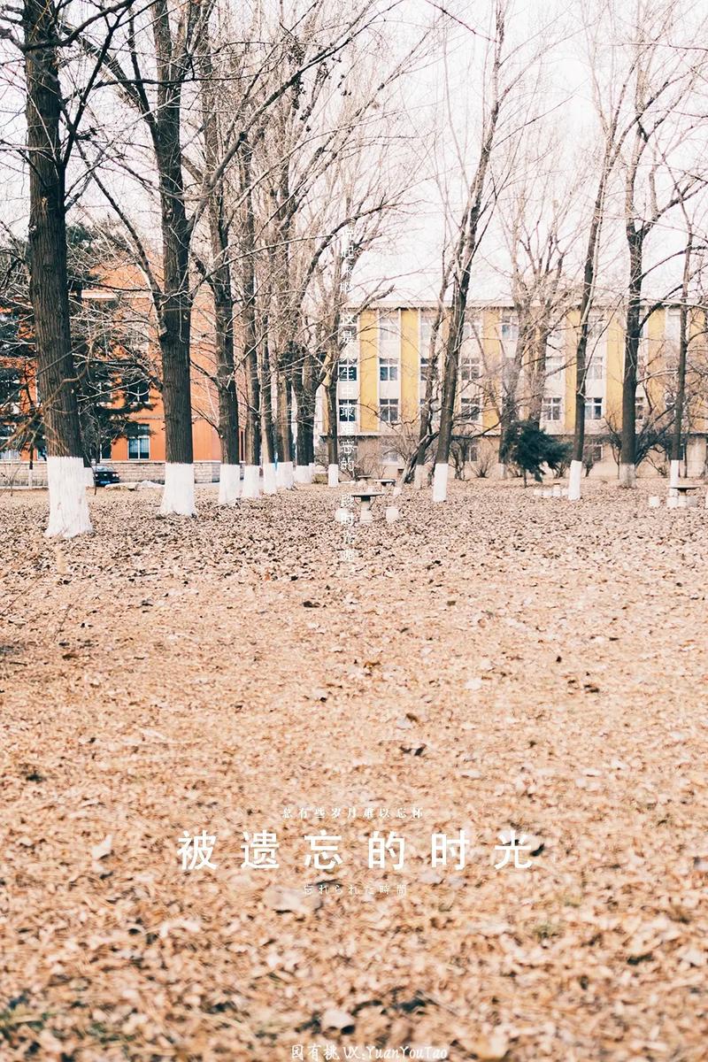 1204 手机基地国产旧版,带你重回经典时光