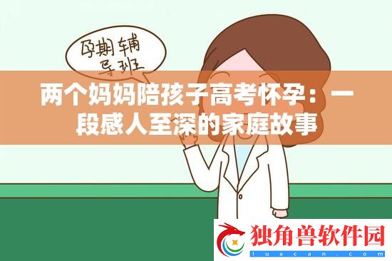 两个妈妈陪孩子高考怀孕：一段感人至深的家庭故事