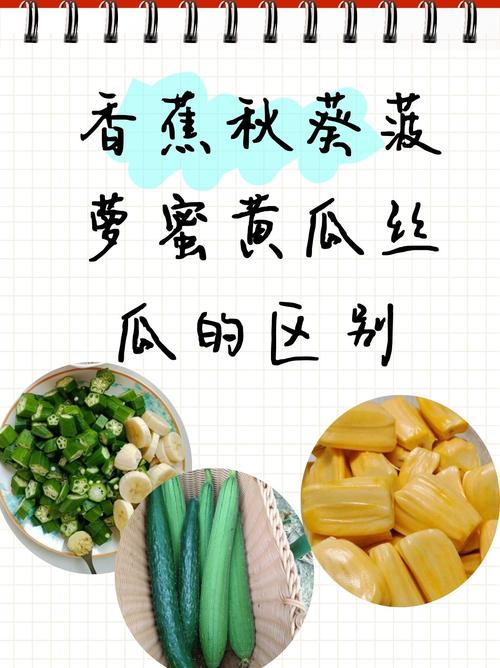 草莓丝瓜榴莲秋葵黄瓜丝