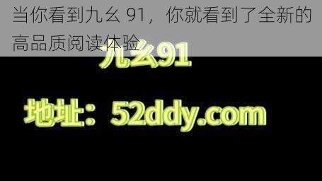 当你看到九幺 91，你就看到了全新的高品质阅读体验